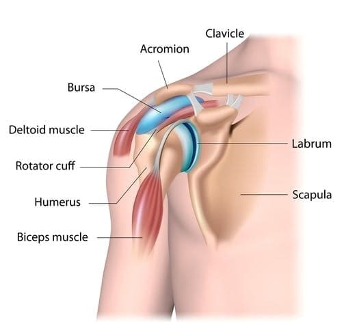 Shoulder Arthroscopy